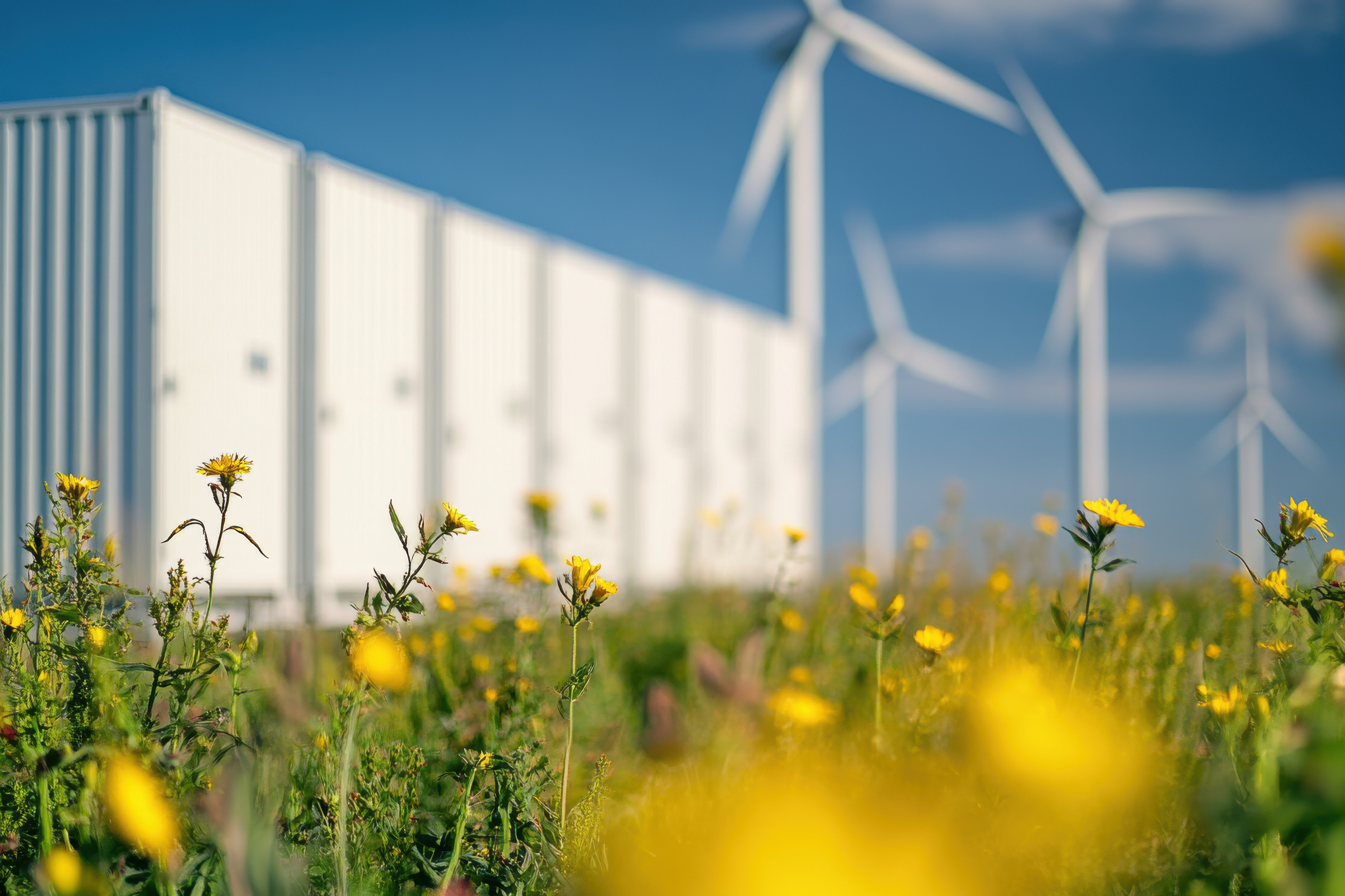 A battery storage system, which can reduce 4CP charges in ERCOT